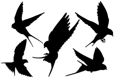 Flying bird silhouette vector for websites, graphics related artwork Stock Illustration