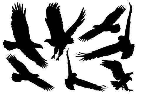 Flying bird silhouette vector for websites, graphics related artwork Stock Illustration