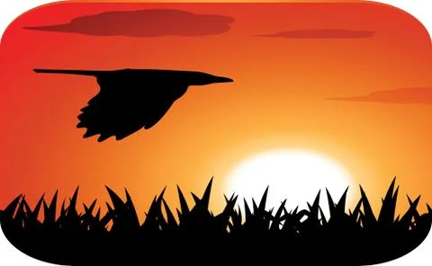 Flying bird at sunset Stock Illustration