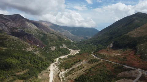 Flying bird.4k drone  Stock Footage 165629022