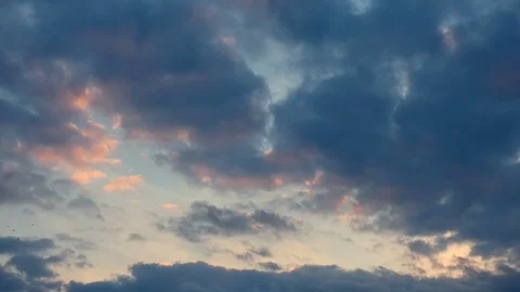 Flying birds against the evening cloudy sky Stock Footage 105184565