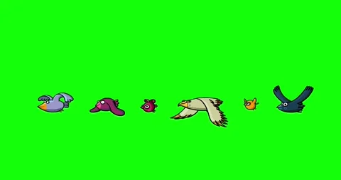 Flying birds - birdpack loop on green screen Video stock 237586032