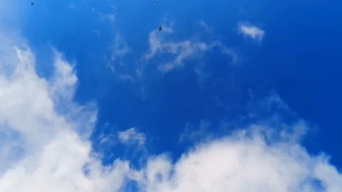 Flying birds flock over cloudy deep blue sky 4k uhd Stock Footage 105398839