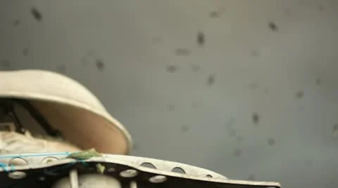 Flying Birds Stockbeeldmateriaal 14828686