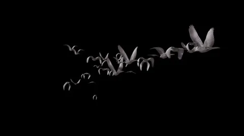 Flying birds Stockbeeldmateriaal 38420239