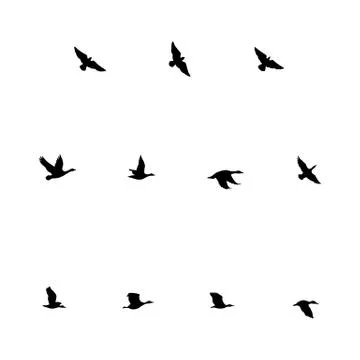 Flying Birds Illustrazione stock