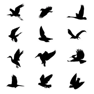 Flying Birds Stock Illustration