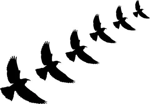 Flying Birds Silhouette Sequence Black Flock Motion Stock Illustration