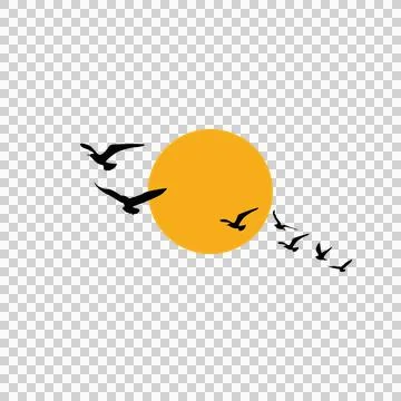 Flying birds silhouettes on sunset vector, wall decals, wall decor, poster desig Stock Illustration