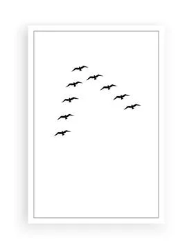 Flying birds silhouettes, vector. Black and white illustration Stock Illustration