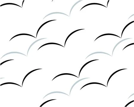 Flying birds in the sky. Vector wings Stock Illustration