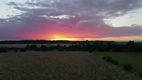 Flying With Birds Into Sunset, Low Ground Shot, Beautiful Yellow and Red Sky Video stock 139519366