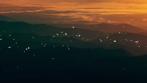 Flying Birds At Sunset Motion Background Loop Stock Footage 140140983