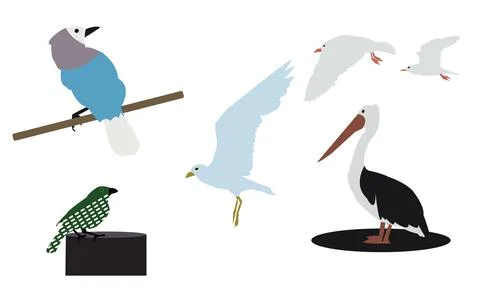 Flying Birds Vector Collection Stock Illustration