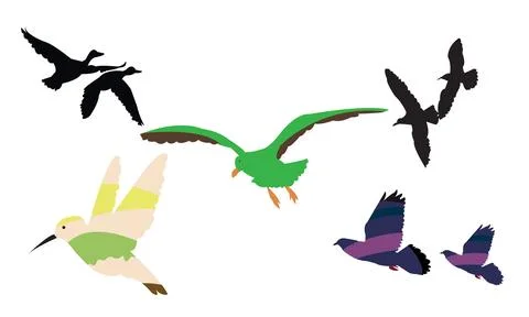 Flying Birds Vector Collection Stock Illustration