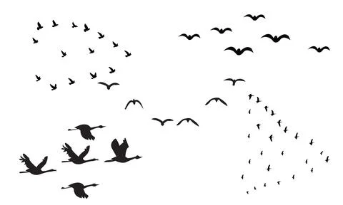 Flying Birds Vector Collection Stock Illustration