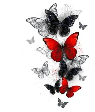 Flying black and red morpho Stock Illustration