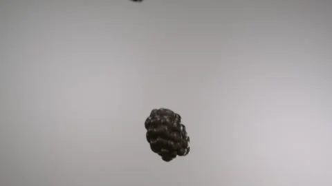Flying black raspberries passing through in front of the camera Stock Footage 161526348