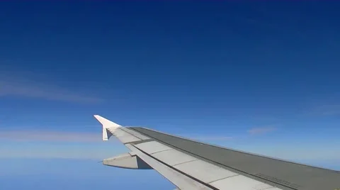 Flying in the Blue Video stock 43329637