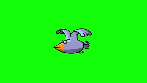 Flying blue pigeon - loop on green screen Stock Footage 237348646
