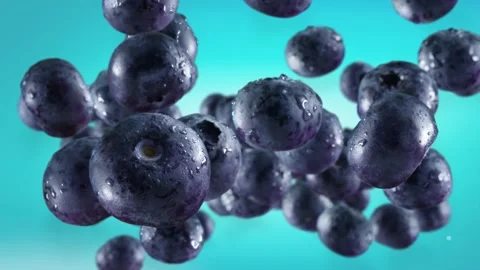 Flying of Blueberries in Ice Blue Background Stock Footage 148331565