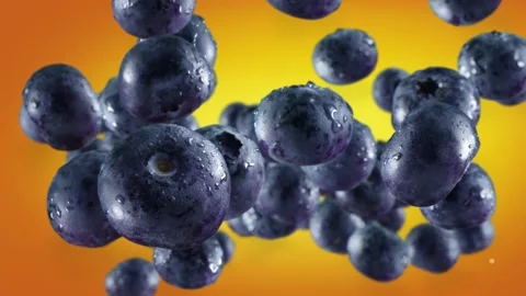 Flying of Blueberries in Orange Background Stock Footage 148331459