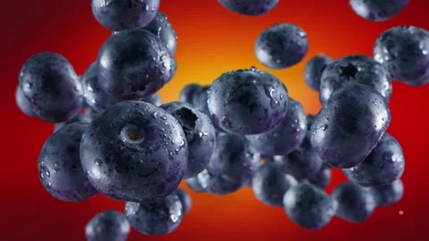 Flying of Blueberries in Red Background Stock Footage 148331359