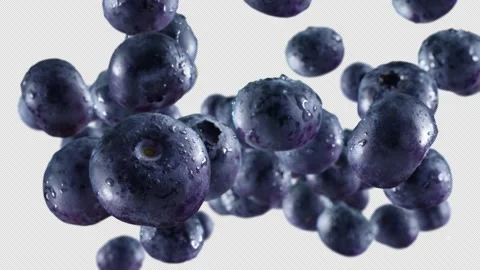 Flying of Blueberries in White Background with Alpha Channel Video stock 148332165
