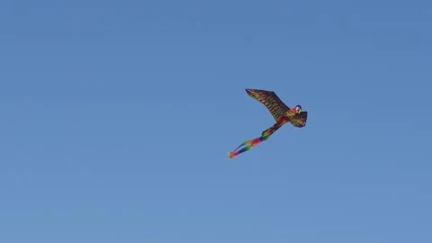 Flying a brightly colored kite in the shape of a parrot against a clear sky Video stock 309880095