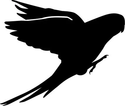 Flying Budgie Stock Illustration