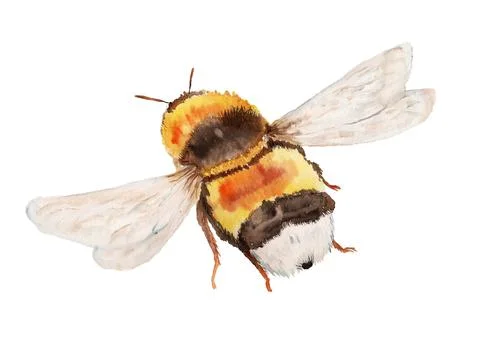 Flying bumble bee Stock Illustration