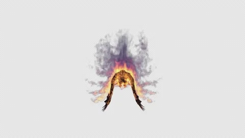 Flying burning bird eagle on a transparent background Stock-Footage 222283636
