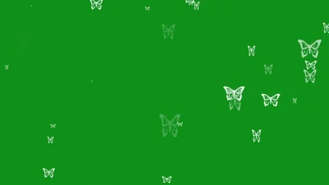 Flying butterflies motion graphics with green screen background Stock Footage 332889971