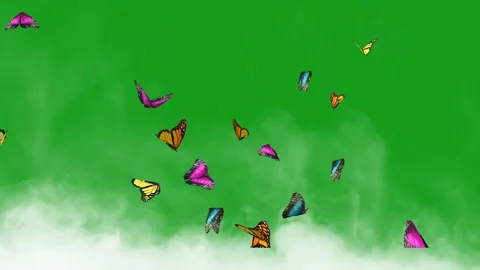 Flying butterflies with smoke on green screen background Stock Footage 170152257