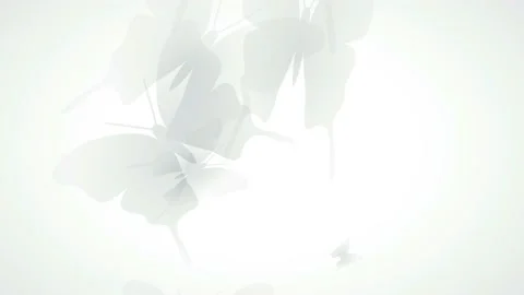 Flying butterflies in transparency on a white background. Animated abstract i Stock Footage 152505643