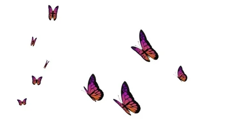 Flying Butterflies on transparent background Stock Footage 294252850