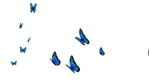 Flying Butterflies on transparent background Stock Footage 294254510