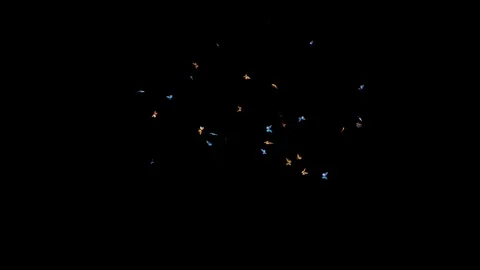 Flying Butterflies V1 Stock Footage 116200754