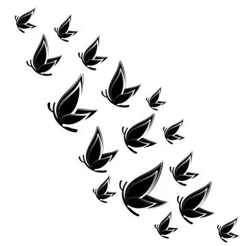 Flying  butterflies  on white background. Vector illustration. Stock Illustration