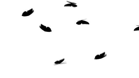 Flying butterfly 01 Stock Footage 250595526