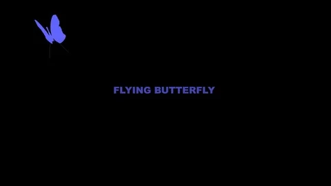 Flying Butterfly Stock After Effects