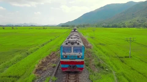 The flying camera beautifully captures the train passing through the fields Vídeos de archivo 236087211