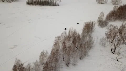 Flying camera captures the movement of snowmobiles in the fields 스톡 동영상 146630941