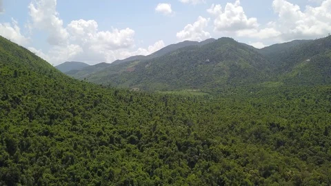 A flying camera flies low over the river overlooking the jungle and large stones Stock Footage 119135523