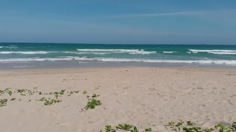 Flying camera flies over a beautiful beach overlooking the waves Stock Footage 115724221