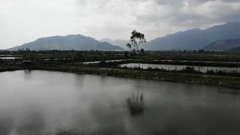 A flying camera flies over the fields that are flooded with water Stock Footage 100188516