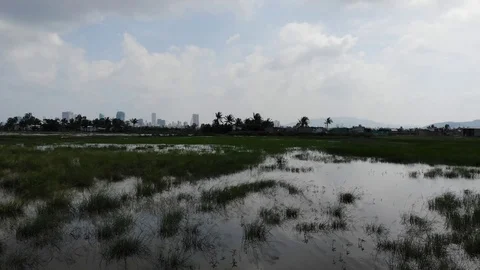 A flying camera flies over the fields that are flooded with water Stock Footage 100188526