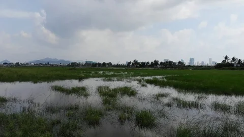A flying camera flies over the fields that are flooded with water Stock Footage 100188551