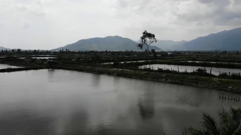 A flying camera flies over the fields that are flooded with water Stock Footage 100188554