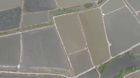 A flying camera flies over the fields that are flooded with water Stock Footage 117432960